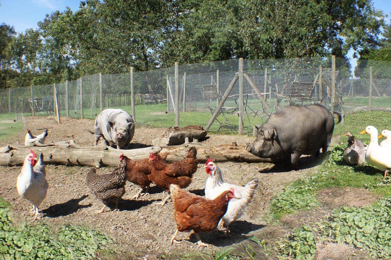 Bed and Breakfast Comme à la Ferme Durbuy Esterno foto