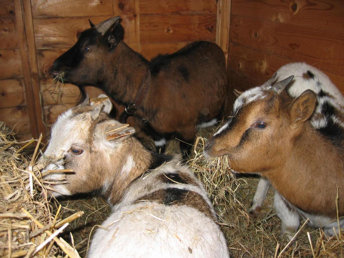 Bed and Breakfast Comme à la Ferme Durbuy Esterno foto